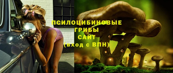 мяу мяу мука Медвежьегорск