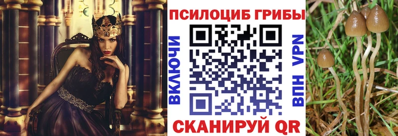 Купить закладки  Томмот  Галлюциногенные грибы GOLDEN TEACHER 
